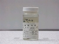 藏品(金錢魚)的圖片